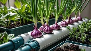 Trending Gardening Hack: Growing Garlic in Plastic Bottles on a Balcony for Beginners