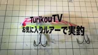 【シーバス釣り】Tuned K-TEN TKLMでスズキ釣り【Japan of lure fishing】