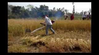 Emergence of latest technologies in Nepali Agriculture