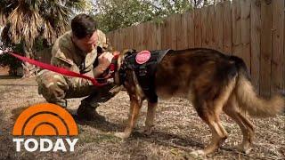See the heartwarming reunion between military dog and handler