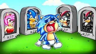 R.I.P ALL - BABY SONIC SAY GOOD BYE FAMILY! - Sonic the Hedgehog 2 - SG Cartoons