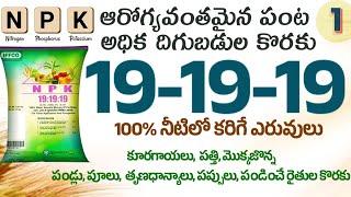 #19-19-19 | npk 19 19 19 water soluble fertilizer telugu | npk fertilizer in telugu