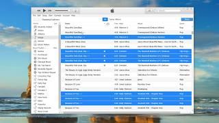 How To Remove Duplicate Files in iTunes - TechSpective Episode 041