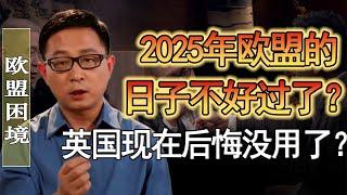 英國悔不當初！500萬人在失業？2025年歐盟的日子不好過了？美國又要搞事情？#竇文濤 #圓桌派 #人生感悟