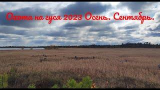 Сгонял на избушку. Охота на гуся 2023. ХМАО. Осень. Сентябрь