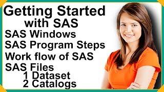 What is SAS | Introduction To SAS Software | SAS Programming Concepts