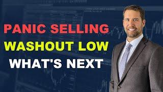 Panic Selling, Washout Low, And What's Next