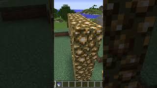 POV: What you expected when youre 11 years old and played minecraft