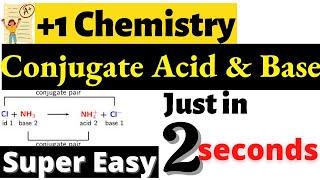 plus one chemistry equilibrium focus area | plus one chemistry focus area  #acidbase #conjugate