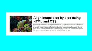 How to Align Image and Text Side by Side Using HTML & CSS | Step-by-Step Guide for Beginners