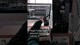 Cubase 12 selected track follow by Platane's Magic Fader.