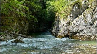 Erlauf: Erlaufbodentől a kienbergi erőműig