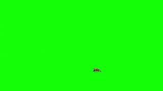 Animated Bee Green Screen Free To Use