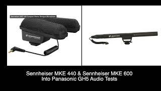 Sennheiser MKE 440 & Sennheiser MKE 600 mics into Panasonic GH5 Audio Test