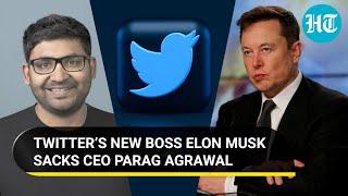 Twitter CEO Parag Agrawal ‘escorted out’ after Elon Musk fires him; ‘The Bird Is Freed'