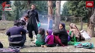 Why Political Parties In Jammu & Kashmir Try To Woo Gujjar-Bakarwal Tribes?