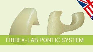 LABORATORIAL - Fibrex-Lab Pontic System