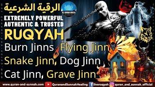 ULTIMATE AL QURAN RUQYAH TO BURN JINNS, FLYING JINN, SNAKE JINN, DOG JINN, CAT JINN, GRAVE JINN.