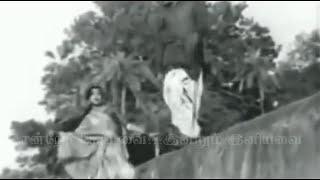 TAMIL OLD SONG--Kasakkuma illai rusikkuma(vMv)--PADTHINI DEIVAM