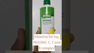 VITAMINS for my Racing Pigeons-@goldeneyeloft