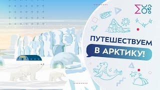 Путешествуем в Арктику | Мультфильм на московском образовательном