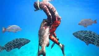 Insane Amount Of Fish Were EVERYWHERE! Primitive BAHAMA Spearfishing & Camping!