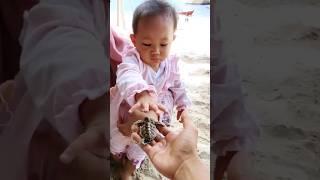 BERANI PEGANG PENYU  || THIS BABY IS GRABBING THE BABY TURTLE #belitungisland #baby #turles