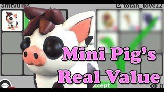 Trading MINI PIG in Adopt Me - What Is It Worth Now!?