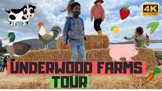 Underwood Family Farms Tour | Moorpark,CA