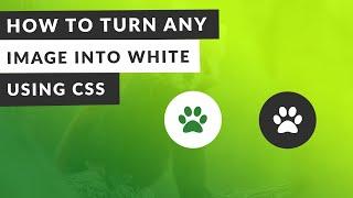 How to Change Image Color into White using CSS (EASY)
