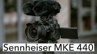 Sennheiser MKE440 | filmmakers watch this! best stereo shotgun microphone? [4K]