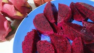 Dragon Fruit healthy and delicious fruit/Rosie chix vlog