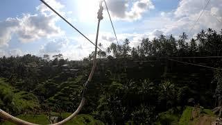 Rice Terrace Zip Line Ubud Bali