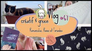 Des Roses et des Chats Vlog 68