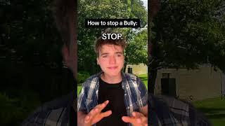 How to Stop a Bully.