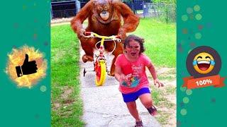 Funny videos 2021 that make you die of laughter !!!!!