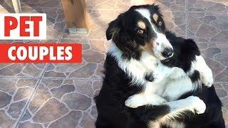 Adorable Pet Couples | Funny Pet Compilation 2018