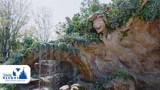 【公式】「ファンタジースプリングス」オープン目前！“魔法の泉”の一部をひと足早くご紹介 | 東京ディズニーシー/Tokyo DisneySea