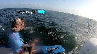 Fishing FEEDING FRENZIES!!! North Coast Fishing In Trinidad & Tobago - Caribbean