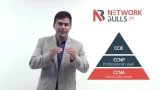 How to become Network Administrator by taking CCNA, CCNP and MCSE Certification Trainings