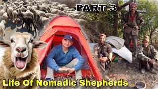 Lifestyle Of Nomadic Himalayan Shepherd's | Camping With Nomadic Shepherd's | Himalayan Shepherd's