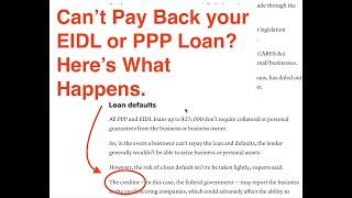 What Happens If You Can't Pay Back your EIDL or PPP Loan?