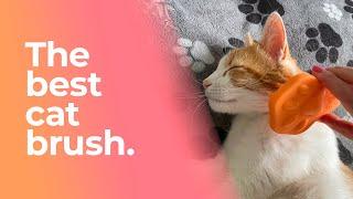 The Best Cat Brush - The Bailey Brush Cat & Dog Brush - Introduction video