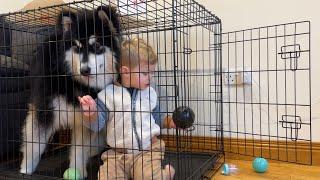 Adorable Baby Boy Helps Puppy Escape! (Cutest Ever!!)