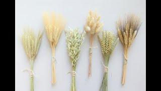 EASY Dried Flower and Grass Bouquet Making (STEP-BY-STEP) | DIY