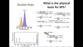 Tutorial Introduction to the XPS technique