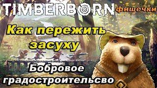 Как пережить засуху в TIMBERBORN!!!гайд