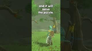 99% BotW players don't know about this Korok trick