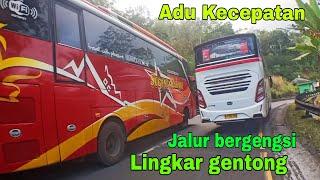 WADUH GAWAT KALAU SUDAH BEGINI !! Kejar kejaran bus sugeng rahayu vs bus primajasa