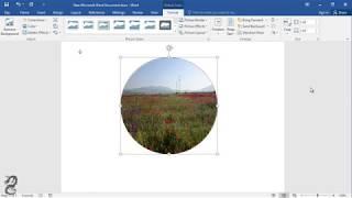 How to create circle picture in Word
